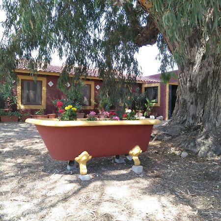 Casa Del Procurador Guest House Las Virtudes Luaran gambar