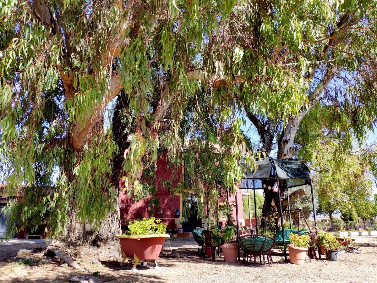 Casa Del Procurador Guest House Las Virtudes Luaran gambar