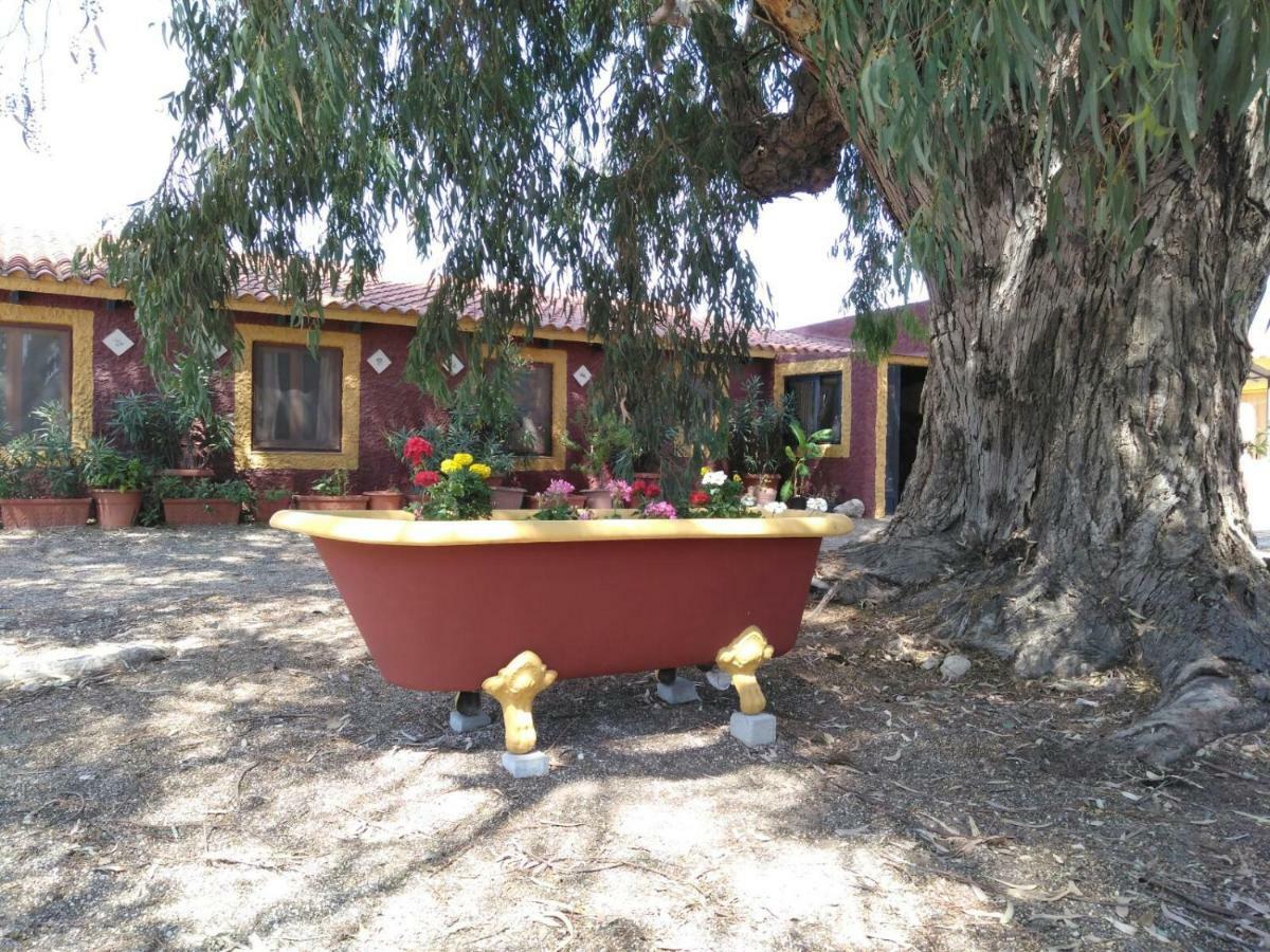 Casa Del Procurador Guest House Las Virtudes Luaran gambar